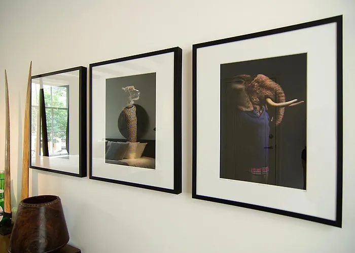 Zandberg - Canal View Amsterdam